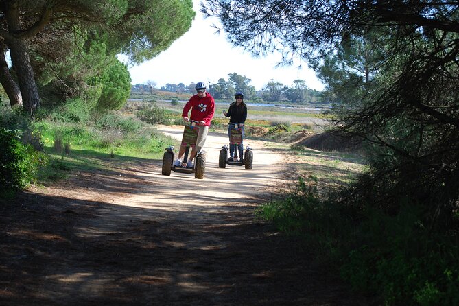 Ria Formosa Natural Park Birdwatching Segway Tour from Faro - Why Ria Formosa Is Worth Seeing