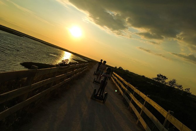 Ria Formosa Natural Park Birdwatching Segway Tour from Faro - Quinta do Lago Adds a Very Different Stop