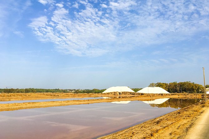 Ria Formosa Natural Park Birdwatching Segway Tour from Faro - Guides Make the Difference