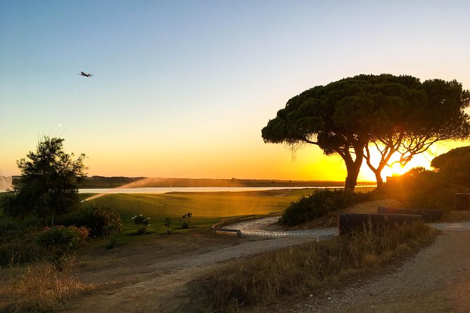 Ria Formosa Natural Park Birdwatching Segway Tour from Faro - Price, Pickup, and Timing