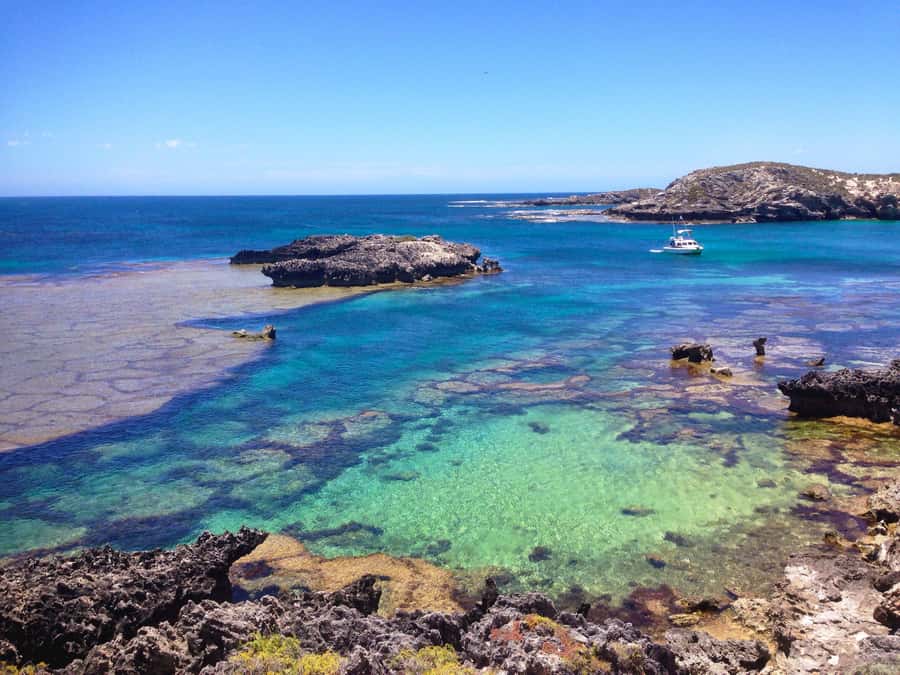 Rottnest Island Segway 1-Hour Settlement Tour - The guides are a major part of the value