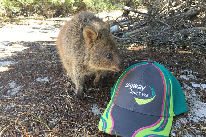 Rottnest Island Segway Tour: Fortress Adventure Tour - Paterson Beach and Henrietta Rocks add the wild coast