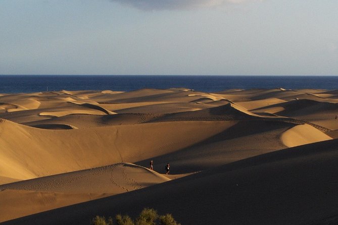 Segway Experience 1 hour Sightseeing Tour : Visit Maspalomas Dunes, Playa Ingles - Age and size rules are part of the experience