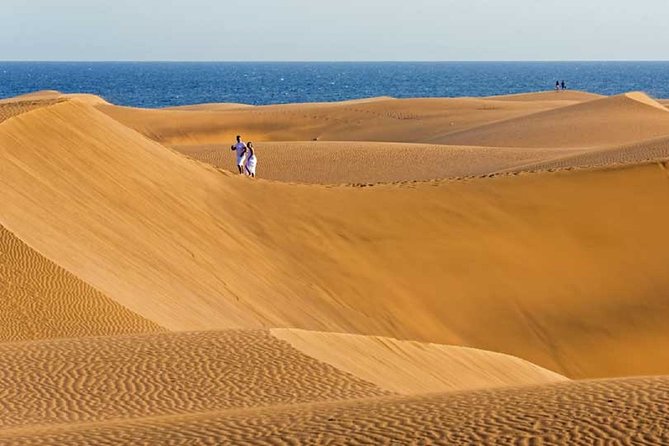 Segway Experience 1 hour Sightseeing Tour : Visit Maspalomas Dunes, Playa Ingles - What the small group adds