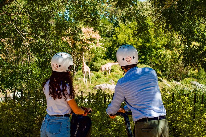 Segway Tour by ComhiC - Tête d'Or Park - 2h - Learning to ride during the first 15 minutes