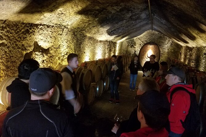 Sonoma County Wine Segway Tour - Buena Vista Winery and the included picnic