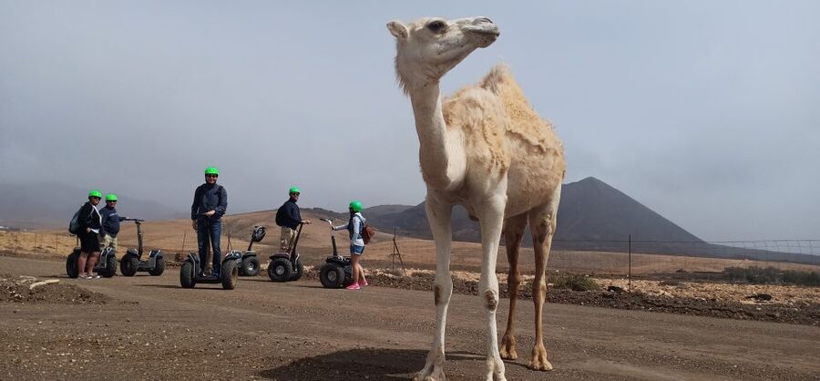 Tiscamanita: Segway Tour, Aloe Vera Farm & Mills Museum - The mills museum: useful, but not the star