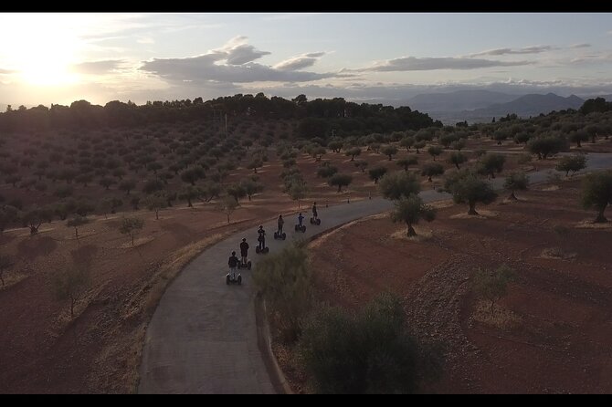 Tour in Granada Off Road Segway - Carmen de los Mártires: gardens after the ride