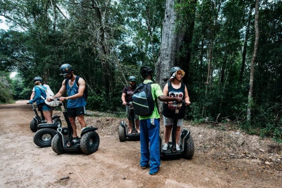 Tsitsikamma National Park: 1 or 2-Hour Segway Tour - The two-hour route and the walk to the Big Tree area