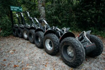 Tsitsikamma National Park: 1 or 2-Hour Segway Tour