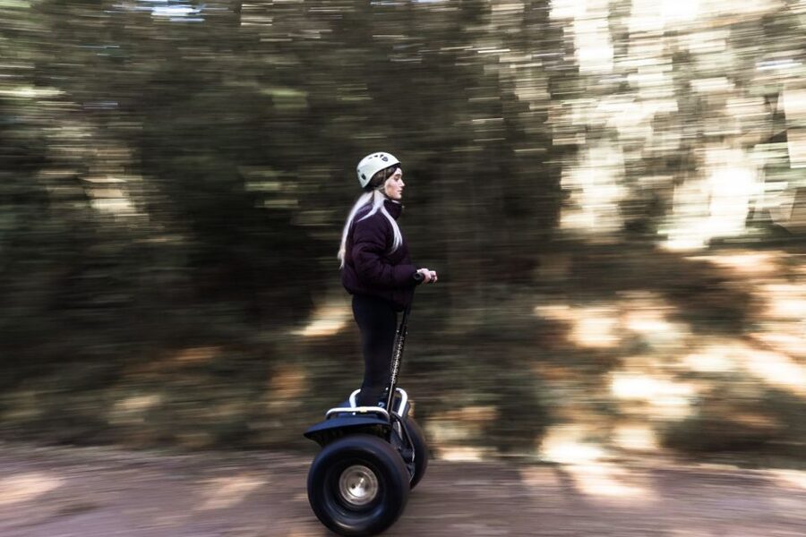 Tsitsikamma National Park: 1 or 2-Hour Segway Tour - Pine forest, indigenous trees, fynbos, and wetlands