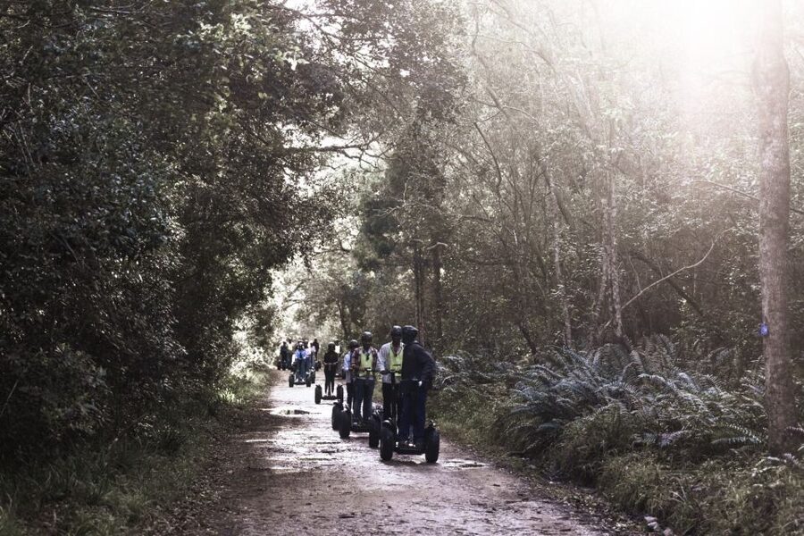 Tsitsikamma National Park: 1 or 2-Hour Segway Tour - Is $33 good value for one or two hours?