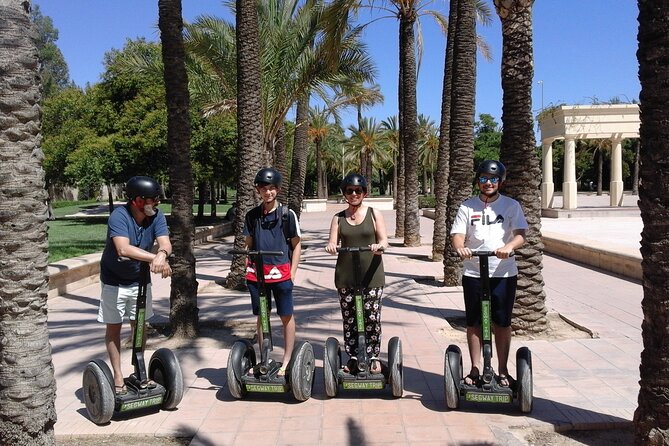 Valencia Arts and Nature Segway Tour 2hs - One hour in the Turia Gardens