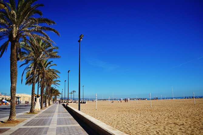 Valencia Beach Segway Experience – Private Tour" - Two beaches, two slightly different moods