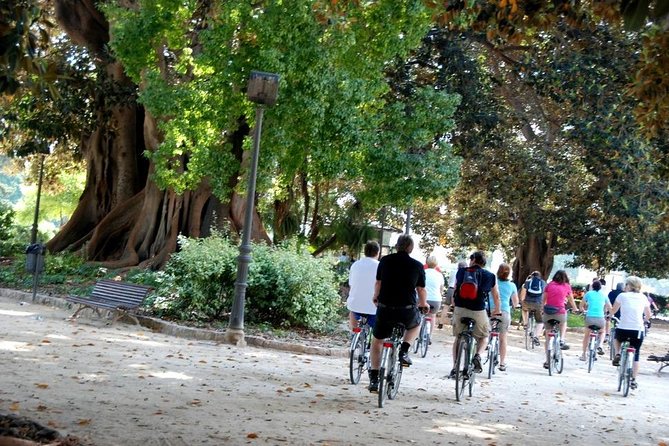 Valencia Bike or Segway Tour - From athletics and music to Calatrava’s modern Valencia