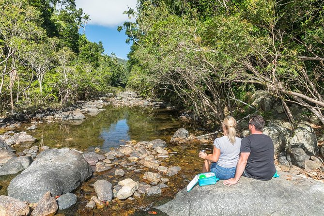 Whitsunday Segway Rainforest Discovery Tour - A small group makes the instruction better