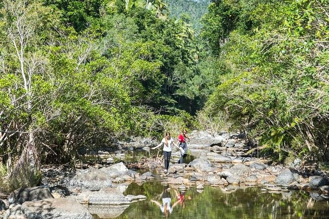 Whitsunday Segway Rainforest Discovery Tour - Who should book this tour?